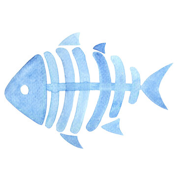 skeleton ocean fish isolated watercolor illustration for decoration on fantasy marine life.