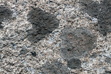 black spots of moss on the stone