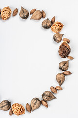 Wreath or Frame from Juglans cordiformis Maxim or heart-shaped walnut isolated on white background