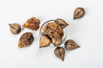 Ripe Juglans cordiformis Maxim or heart-shaped walnut isolated on white background