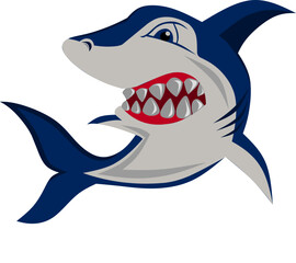 vector image of a shark character.