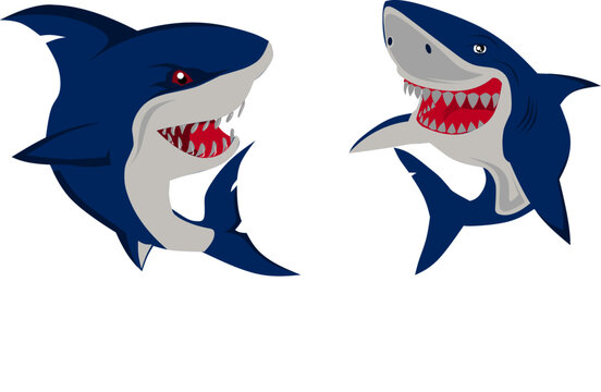 vector image of a shark character.