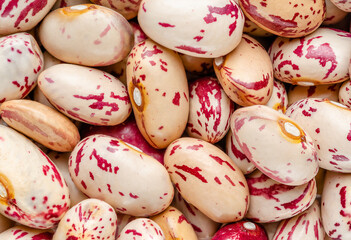 Fototapeta na wymiar Macrophtography of kidney beans. Directly above, top view