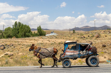 Obraz premium carriage on the highway. the horse is riding.