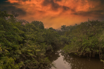 Reflection of a sunset by a lagoon inside the Amazon Rainforest Basin. The Amazon river basin...