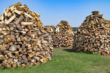 Piles of chopped firewood lie on the green lawn