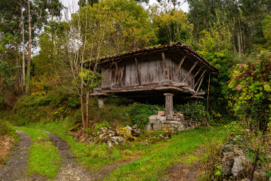 Rural landscapes of the inside from Asturias