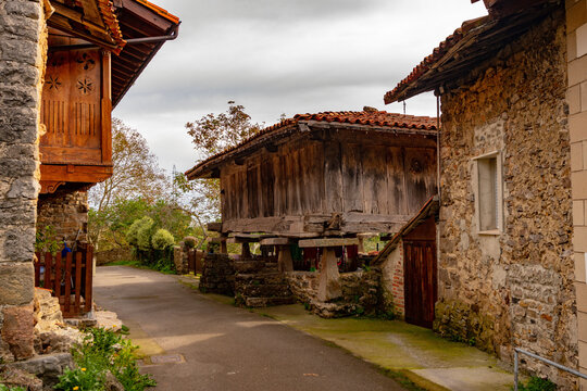 Rural landscapes of the inside from Asturias