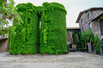 Grazzano-Visconti farm. Two big silos are covered with green leaves across medieval farm buildings.  Italy, Emilia-Romagna