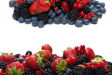 Blackberry, raspberry, blueberry,  red currant and mint background.
