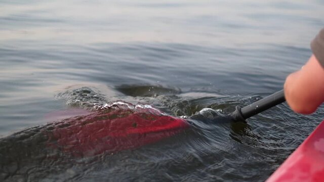 Kayak paddle water drops.Red paddle close-up.