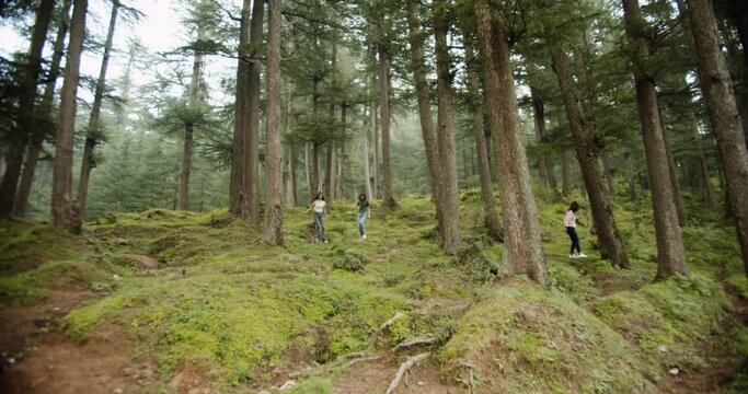A group of female Indian teens hiking on a mossy forest in India