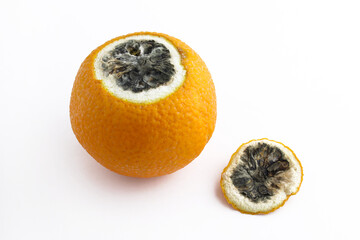 Orange rotten inside on a white background. A spoiled orange peeled. A rotten orange that's whole on the outside.