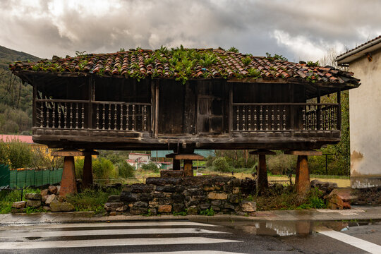 Rural landscapes of the inside from Asturias