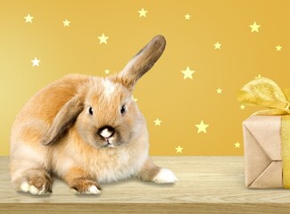 A cute fluffy rabbit sits on a desk against the background of Christmas lights