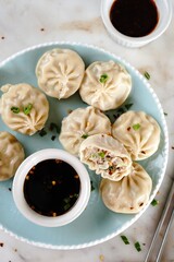 Chicken or Pork dumplings with soy and chilli sauce, selective focus