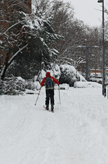 A Day of Snowfall in Winter