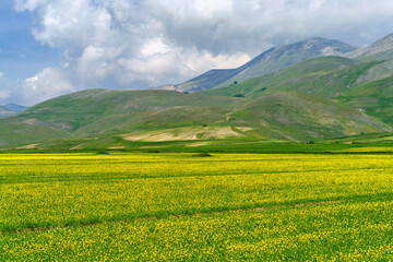 Fototapeta premium Piano Grande di Castelluccio, mountain and rural landscape