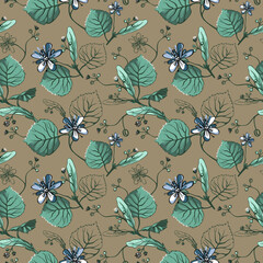 Vector floral seamless pattern with linden flowers. Hand drawn eco design for fabric and wrap paper, packaging- tea, oil, cosmetics etc.