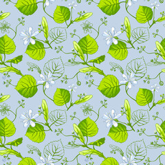 Vector floral seamless pattern with linden flowers. Hand drawn eco design for fabric and wrap paper, packaging- tea, oil, cosmetics etc.