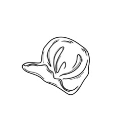 Jiaozi. Dumplings of Chinese, Japanese and Korean cuisine. Wontons, Gyoza, Baozi, Dim-sama, Gyoza or Kyoza. Doodle. Hand drawn. vector illustration