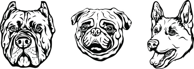 Hand drawn face of dogs. Black and white vector illustration mascot art