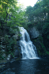 Fototapeta premium Large waterfall pouring out into a beautiful pool of water in the middle of the forest