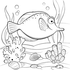 Underwater scene with cute clown fish and coral reef. Printable coloring page for kids. Black and white vector illustration