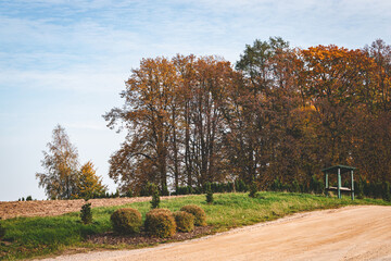 Gravel road, colorful broadleaf foliage in the autumn forest. Indian summer