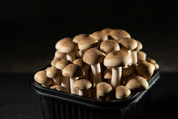 beech mushrooms in a bowl