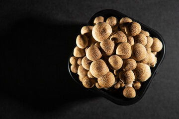 Fototapeta na wymiar beech mushrooms in a bowl