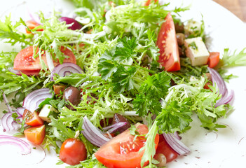 Salad with Feta Cheese, Olives, Tomatoes, Endive and Red Onion. Close up. 