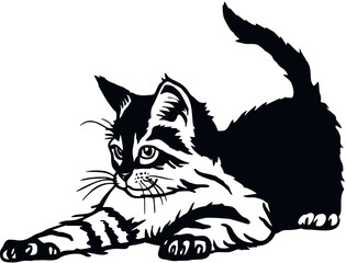 Domestic Cat, Peeking kitten - Cheerful kitty isolated on white - vector stock