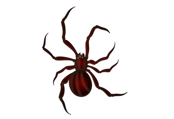spider vector illustration black 거미 일러스트 white background