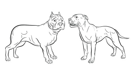 In the animal world. Vector image of dogs. Black and white drawing, coloring.