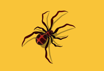 spider vector illustration perspective shadow yellow background line 거미 일러스트