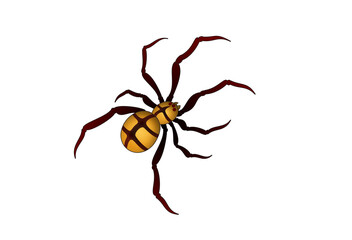 spider vector illustration perspective white background color 거미 일러스트