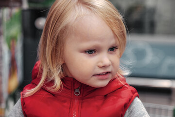 Little girl sitting in shopping cart in store or supermarket and buying