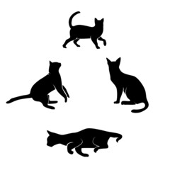 Cat silhouette vector, black cat silhouette, set of cat, black cats, cats, black silhouette, black cats, cats
