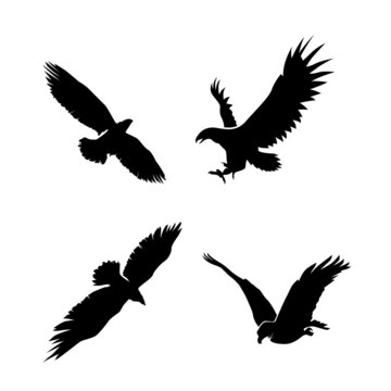 set of eagle, Eagle Logo, set of silhouettes of birds, eagle, eagle silhouette design, eagle black and white illustration, animal silhouette, eagle silhouette