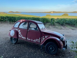 Vintage car at Clos Poggiale, Corsican vineyard between sea and mountains. View of Etang de Diana...