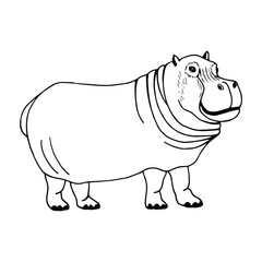 Hippopotamus.  Vector stock illustration eps10. Isolate on white background, outline, hand drawing.