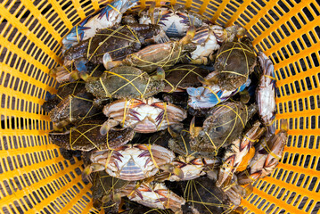 Basket with fresh crabs