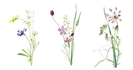 Fototapeta na wymiar Three watercolor simple bouquets of flowers and herbs