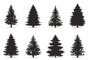 Vintage trees and forest silhouettes set in monochrome style. Set. Silhouette of pine trees.