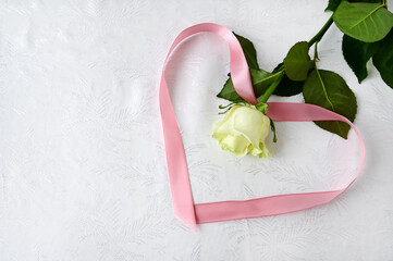 one beautiful white rose and pink satin ribbon heart on white silk background. Congratulations on Valentine's Day, happy birthday. Copy space