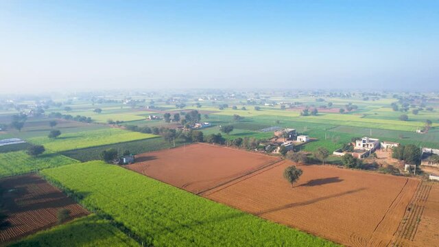 aerial drone shot moving forward showing mustard fields and empty plots and houses scattered around on the outskirts of the city of jaipur delhi gurgaon
