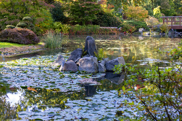 Japanese Garden in in Szczytnicki Park, exotic plants, Wroclaw, Poland.