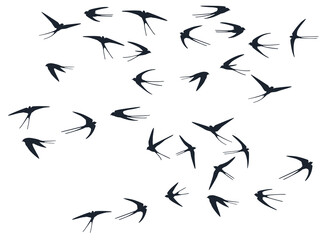 Flying swallow birds silhouettes vector illustration. Migratory martlets swarm isolated on white.