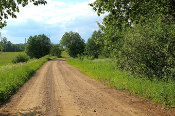 dirt road surrounded by green plants on a sunny summer day. Unique image for decoration